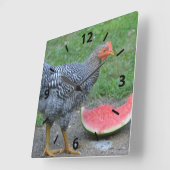 Chicken Watermelone Wall Clock Quadratische Wanduhr (Winkel)