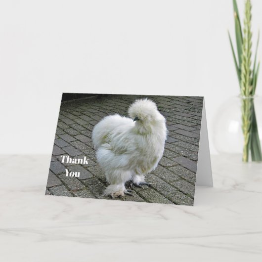 Chicken White Silkie Foto Dankeskarte (Vorderseite)