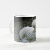 Chicken White Silkie Foto Kaffeetasse (Vorderseite Links)