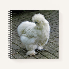 Chicken White Silkie Foto Notizblock