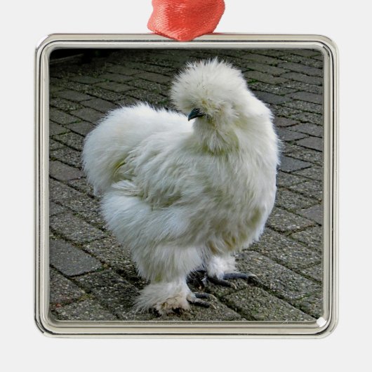 Chicken White Silkie Foto Ornament Aus Metall (Vorne)