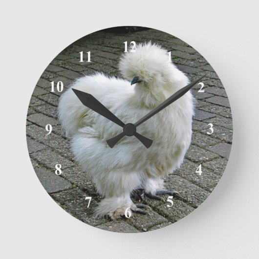 Chicken White Silkie Foto Runde Wanduhr (Vorderseite)