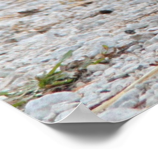 Chickens Poster aufladen (Ecke)