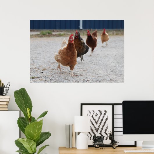 Chickens Poster aufladen (Heimbüro)