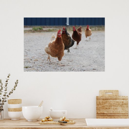 Chickens Poster aufladen (Küche)