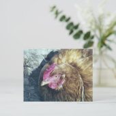 CHICKENS POSTKARTE (Stehend Vorderseite)