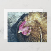 CHICKENS POSTKARTE (Vorne/Hinten)