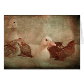 Chicks and Ducklings (Vorderseite (Horizontal))