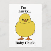 Chicks Ich bin ein glücklicher Baby Chick Postkarte (Vorderseite)