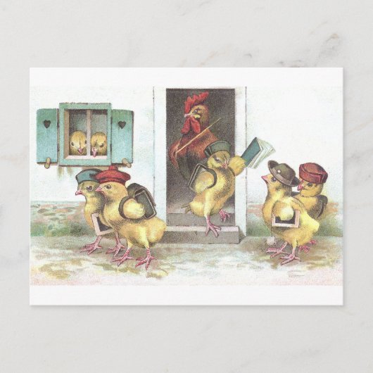 Chicks in der Schule und im Rooster-Lehrer Postkarte (Vorderseite)