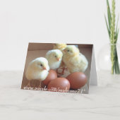 Chicks individuell anpassen feiertagskarte (Rückseite)