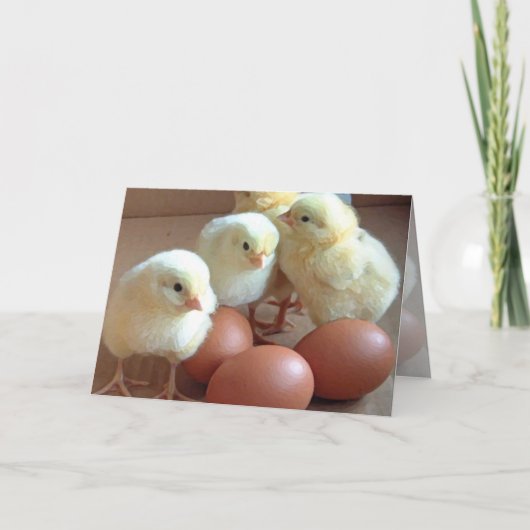 Chicks individuell anpassen feiertagskarte (Vorderseite)