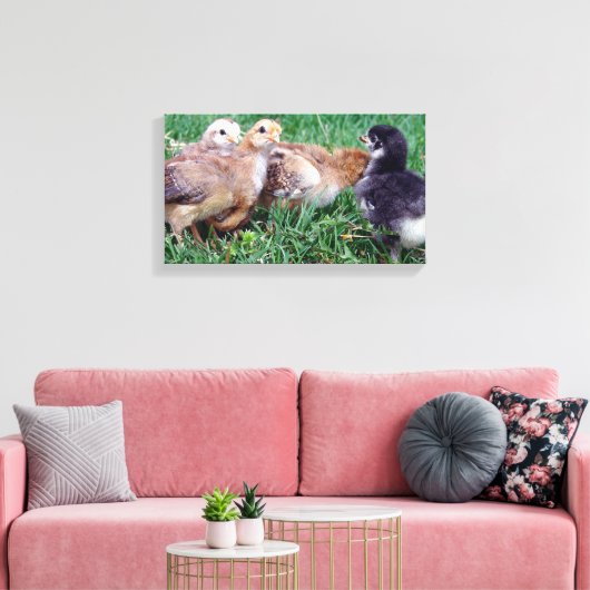 Chicks Leinwanddruck (Insitu (Wohnzimmer))