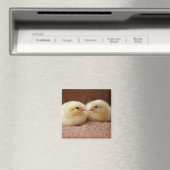 Chicks Magnet (In Situ (Geschirrspüler))