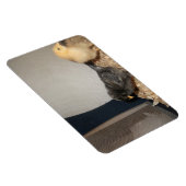 Chicks Magnet (Rechte Seite)