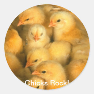 Chicks Rock! Baby Chicks Chick Hühnchen Runder Aufkleber