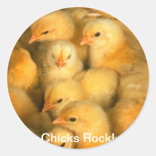 Chicks Rock! Baby Chicks Chick Hühnchen Runder Aufkleber (Vorderseite)
