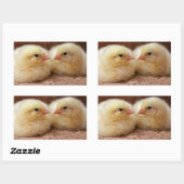 Chicks Sticker (Blatt)