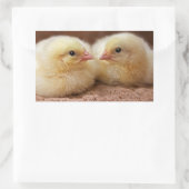 Chicks Sticker (Tasche)