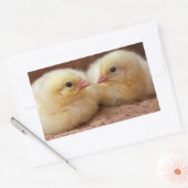 Chicks Sticker (Umschlag)