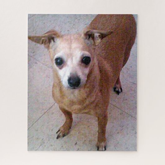 Chico Chiwawa Puzzle (Vertikal)