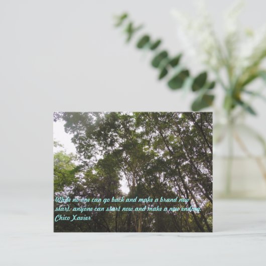 Chico Xavier Quotes Postkarte (Stehend Vorderseite)
