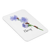 Chicorée Blume Watercolor Magnet (Rechte Seite)