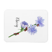 Chicorée Blume Watercolor Magnet (Horizontal)