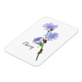 Chicorée Blume Watercolor Magnet (Linke Seite)