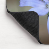 Chicorée (Cichorium intybus) Mousepad (Ecke)