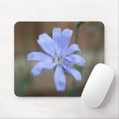 Chicorée (Cichorium intybus) Mousepad (Mit Mouse)