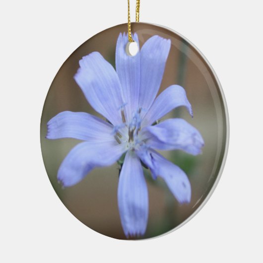 Chicorée Keramik Ornament (Links)