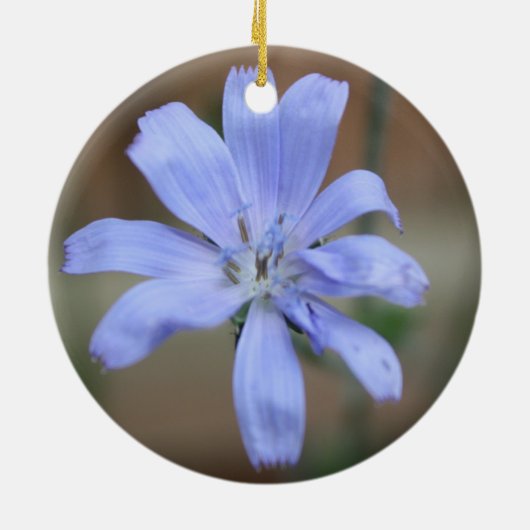 Chicorée Keramik Ornament (Hinten)