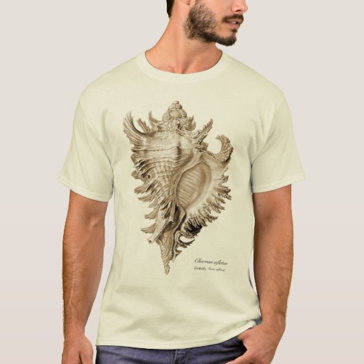 Chicoreus ramosus (Chicoreus inflatus). T-Shirt (Vorderseite)