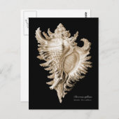 Chicoreus ramosus postkarte (Vorne/Hinten)