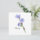 Chicoroer Blume Karte (Stehend Vorderseite)
