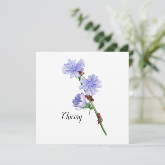 Chicoroer Blume Karte (Stehend Vorderseite)