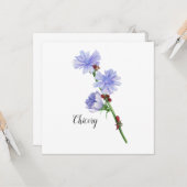 Chicoroer Blume Karte (Vorderseite/Rückseite Beispiel)