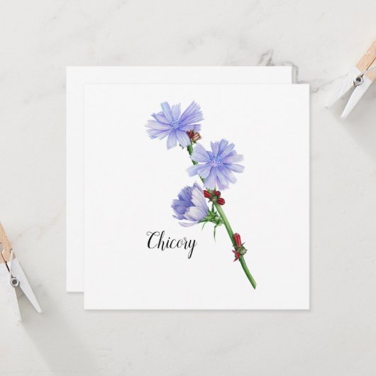 Chicoroer Blume Karte (Vorderseite/Rückseite Beispiel)