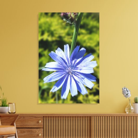 Chicoroer Blume Leinwanddruck (Insitu (Wohnzimmer))