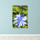 Chicoroer Blume Leinwanddruck (Insitu (Holzboden))