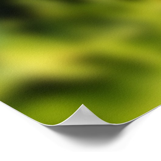 Chicoroer Blume Poster (Ecke)