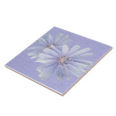 Chicoroer Wildblume - rechts Fliese (Seite)