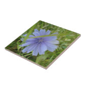 Chicory Blue Lila Blume Floral Fliese (Seite)