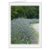 Chicory Blume Blank Danke Karte (Vorne)