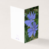 Chicory Flower Folded Note Card (Vorderseite)