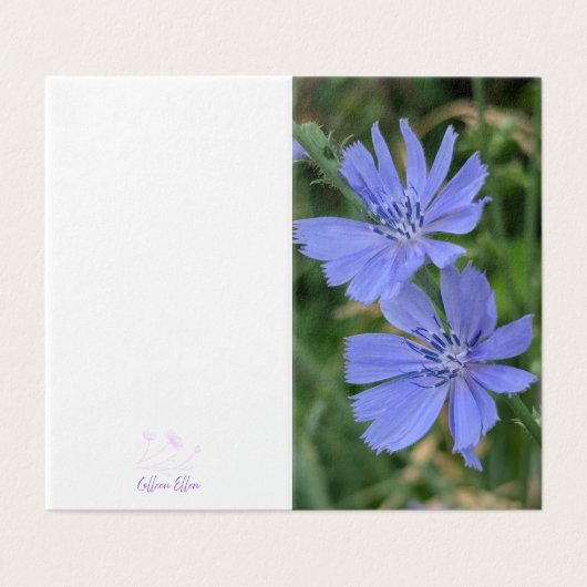 Chicory Flower Folded Note Card (Außenseite Aufgefaltet)