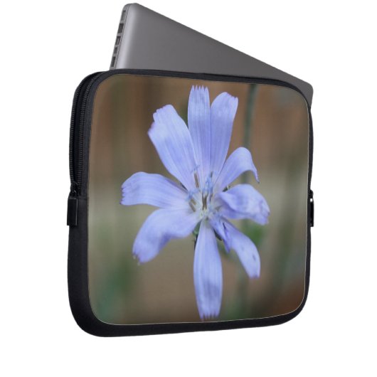 Chicory Laptopschutzhülle (Vorne Rechts)