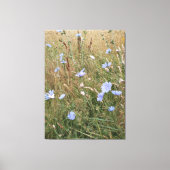 Chicory Leinwanddruck (Vorderseite)