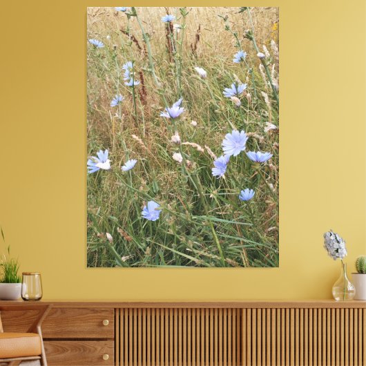Chicory Leinwanddruck (Insitu (Wohnzimmer))